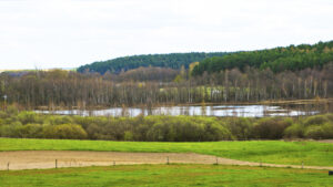 Zdjęcie nr 3 przedstawiające jezioro Zgniłek