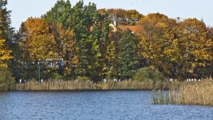 Fotografia nr 9 przedstawiająca jezioro Długie