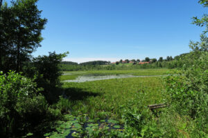 Zdjęcie nr 12 przedstawiające jezioro Zgniłek